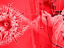 Пандемия в цифрах и фактах. Бюллетень коронавируса на 12:00 15 августа