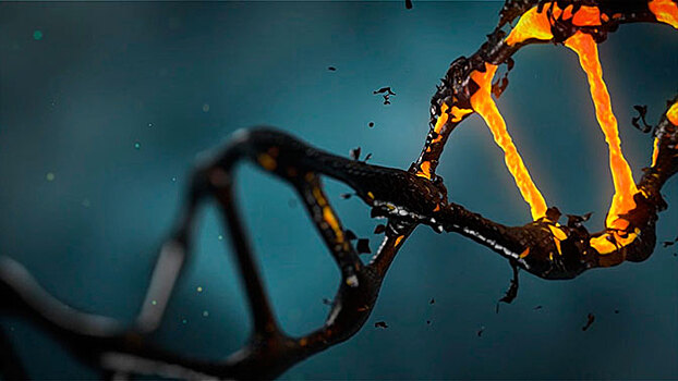 Китай начал массово редактировать ДНК людей