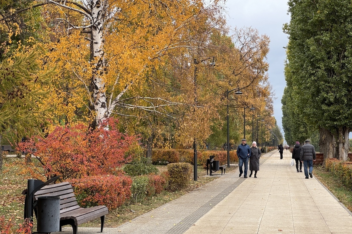 Странный мужчина после галлюцинаций исчез в российском регионе