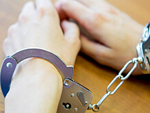 Павла Дурова задержали во Франции