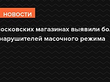В московских магазинах выявили более 70 нарушителей масочного режима
