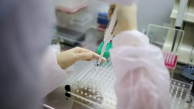 В России провели 10 млн тестов на коронавирус