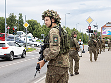 Учения Namejs 2025: что будут отрабатывать Латвия и ее союзники по НАТО