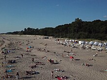 В Калининградской области рассказали о новых случаях COVID-19