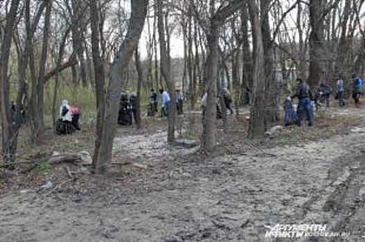 В Самаре волонтеры приводят в порядок Воронежские озера