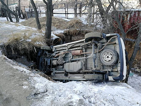 Микроавтобус сбил пешехода и вылетел в кювет