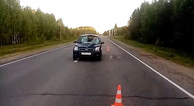 Водитель иномарки пострадал в ДТП с лосем в Городецком округе