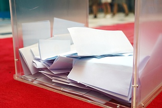 Явка на выборах в совет депутатов в Коломенском округе составила 13,31% на 12:00