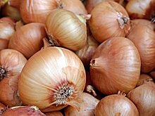 На фоне роста цен на лук украинцам посоветовали заменить его крапивой