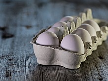 ГК «Продо» продала производство яиц в Новосибирской области