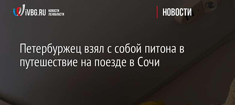 Петербуржец взял с собой питона в путешествие на поезде в Сочи