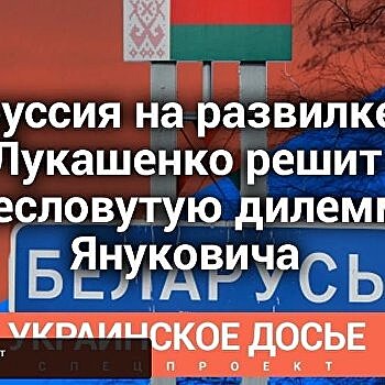 Украинское досье. Белоруссия на развилке: как Лукашенко решит дилемму Януковича - онлайн