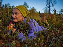 «В погоне» за утками