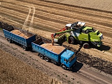 На Кубани заявили о планах собрать не менее 12,4 миллиона тонн хлеба