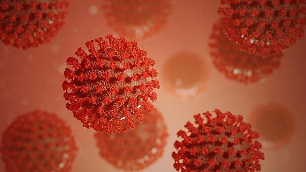 Более половины заболевших коронавирусом проживают в пяти странах