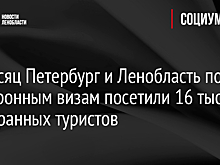 Петербург и Ленобласть за месяц посетили по электронным визам около 16 тыс. туристов