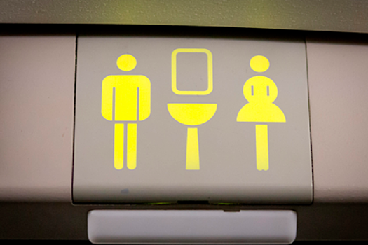 Придуман метод борьбы с очередью в туалет самолета