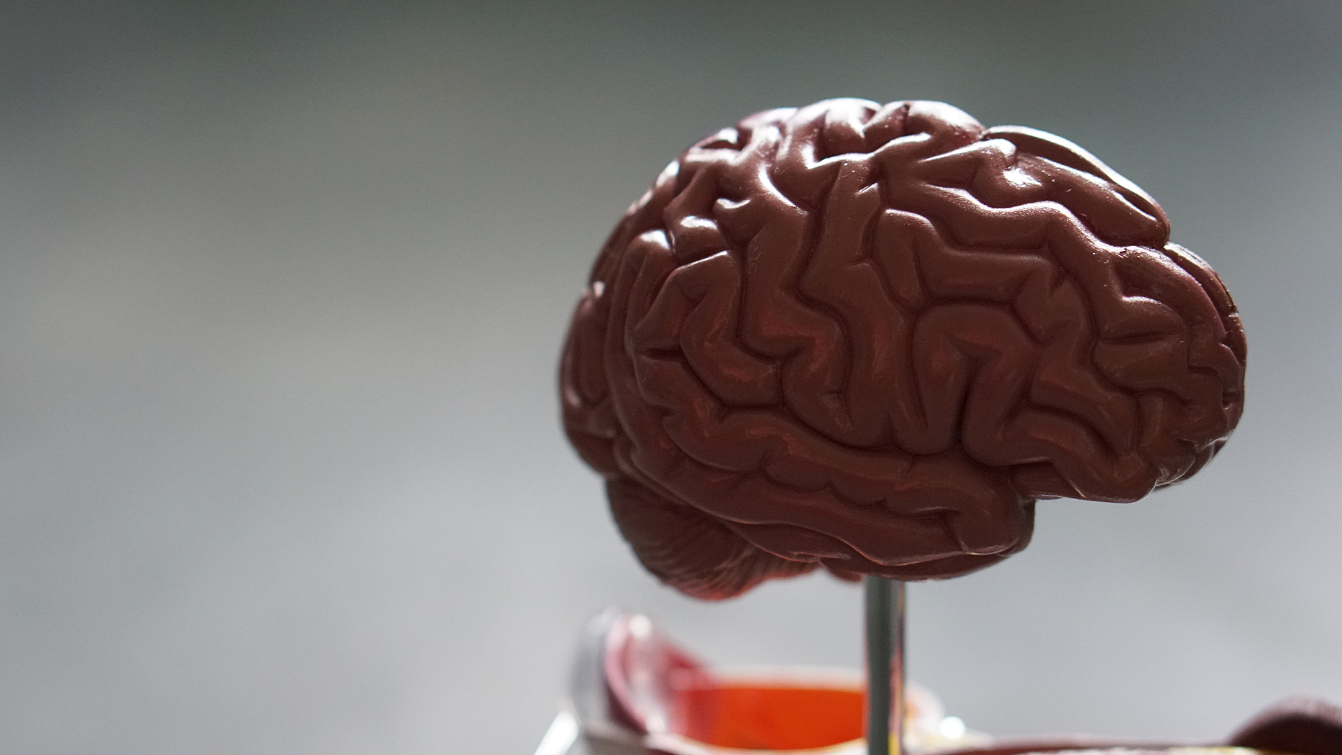 Доктор Мясников: редкая и резкая головная боль – возможный симптом опухоли мозга
