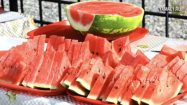 Точки продаж бахчевых будут работать в Петербурге до 15 октября