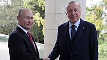 Путин и Эрдоган условились определить место и время встречи