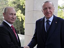 Путин и Эрдоган условились определить место и время встречи