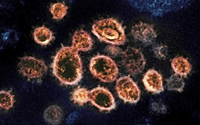 Вирус SARS-СoV-2