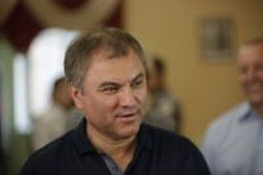 Медики поблагодарили Володина за поддержку и внимание к проблемам ЦРБ