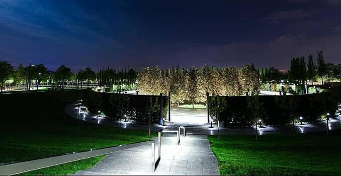 Установлены личности водителей, устроивших гонки возле парка Галицкого