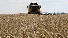 Вывоз зерна с Украины запланировали увеличить