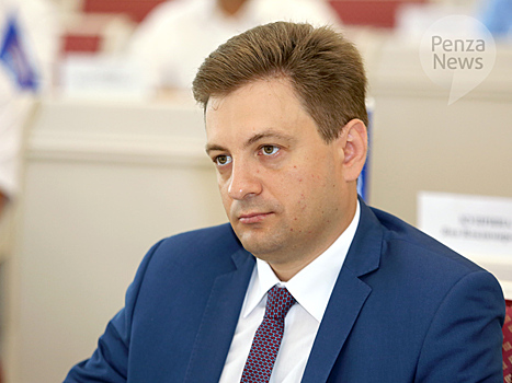 Полномочия Камнева как депутата Заксобрания прекращены досрочно