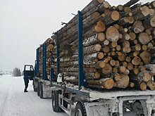 В Советске на посту ДПС провели досмотр лесоматериала