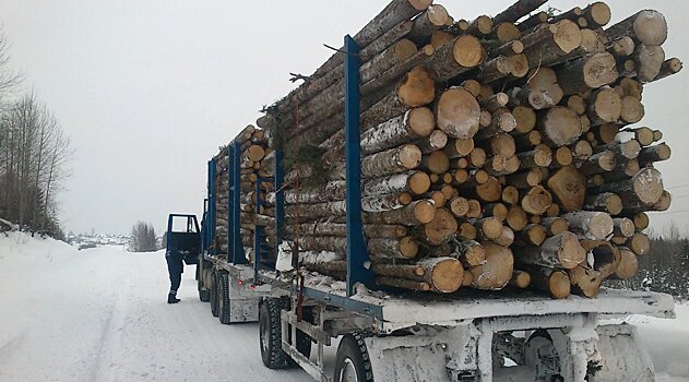 В Советске на посту ДПС провели досмотр лесоматериала