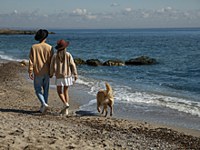 В Таиланде заметили людей, похожих на пропавших в красноярской тайге Усольцевых