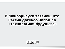 В Минобрнауки заявили, что Россия догнала Запад по «технологиям будущего»