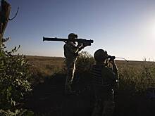 На Украине будут судить Януковича по делу о завладении землями лесного фонда