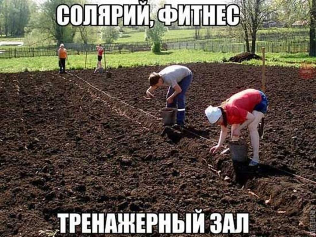 Приколы с посадкой огорода