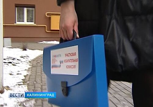 В Калининграде члены участковых избирательных комиссий начали рассказывать жителям о нововведениях на выборах