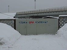 В Поморье суд встал на защиту брошенных животных