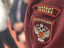Роспотребнадзор начал расследование после отравления людей кониной в Раменском