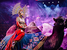 Непревзойденная дрессура и роскошные костюмы: "Королевский цирк Гии Эрадзе" приглашает на грандиозное шоу "Песчаная сказка" с участием титулованных артистов Росгосцирка