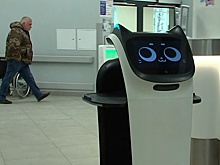 В НИИ Склифосовского показали, как пациентам помогают медицинские «робокошки»