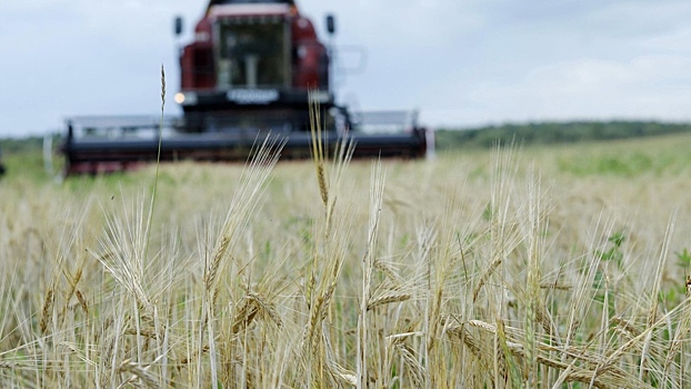 Вологодские фермеры получат поддержку в строительстве жилья и сбыте продукции