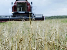 Вологодские фермеры получат поддержку в строительстве жилья и сбыте продукции