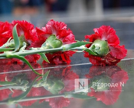 Мемориальные доски двум выдающимся гражданам установят в Нижнем Новгороде
