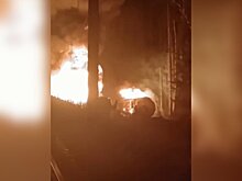 Десять пассажирских поездов задерживаются из-за пожара в Свердловской области