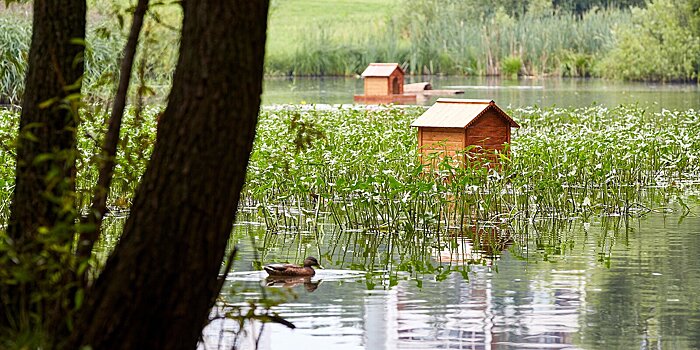 Секреты «Биоплато» и путешествия во времени: парки подготовили новые программы