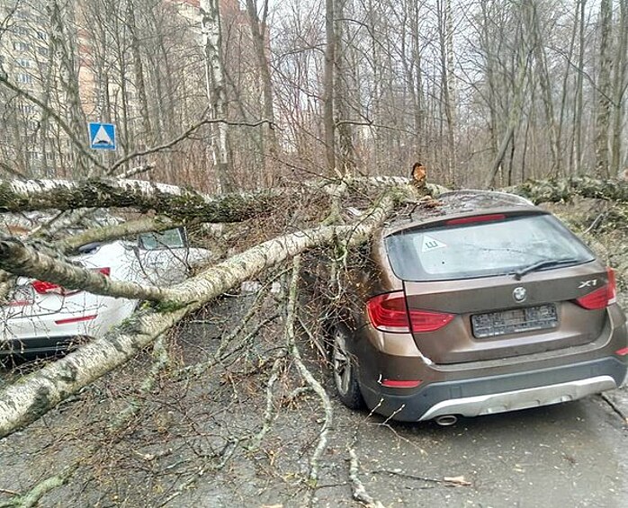 ..Но и для автомобилей.