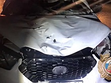 В Башкирии в результате столкновения автомобиля с лосем погиб один человек