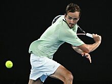 Камельзон: в финале Australian Open у Медведева не хватило сил довести дела до ума