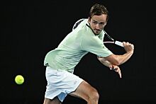 Камельзон: в финале Australian Open у Медведева не хватило сил довести дела до ума
